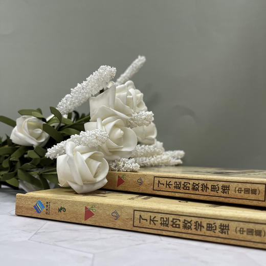 《了不起的数学思维》（中国篇）| 场景式全彩插图，提高孩子的视觉阅读能力，增强数学亲和力 商品图2