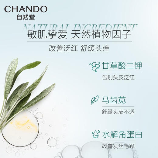 自然堂(CHANDO)赵露思同款-敏感头皮护理止痒洗发露/净护精华乳550mL 商品图2