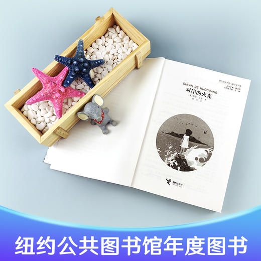 对岸的火光   六年级正版现货速发|名师推荐|小学生课外阅读6年级 商品图1