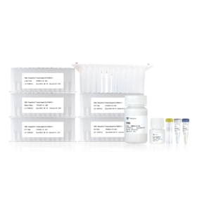 VAMNE Magnetic Pathogen DNA/RNA Kit（KF Prepackaged)