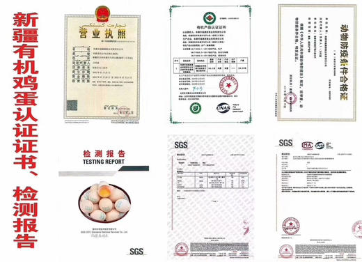 现货达西妮亚土鸡蛋10枚/60枚装 商品图13