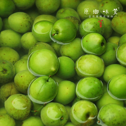 青梅精（成都仓库-顺丰快递） | 45g/罐，来自广东从化，生产者：原乡梅好合作社 商品图7