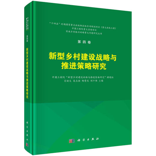 新型乡村建设战略与推进策略研究 商品图0