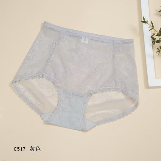 5F Ahpeena爱比娜  网纱舒适内裤 商品图3
