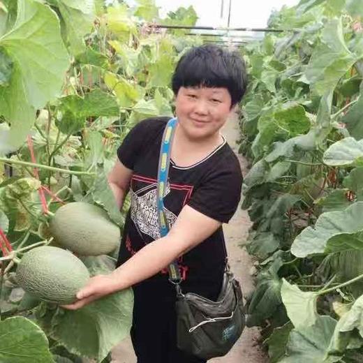 金宏晓蜜，精选海沙地种植，皮薄肉脆，爽口多汁 商品图5