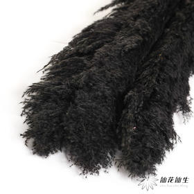 干花 | 大芦苇黑