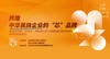 内部观看《共建民族企业“芯”品牌》民协论坛 商品缩略图0