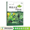 鲜食大豆高效种植新技术 许林英 等 栽培技术 黄豆 种植管理 田间管理 毛豆 30348 商品缩略图0