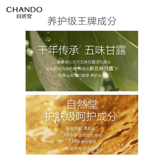 【赵露思同款】自然堂(CHANDO)头皮护理丰盈强韧舒缓洗发露/丰盈强韧蓬顺精华乳 550mL 商品图4