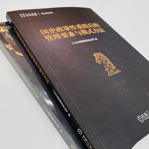 官方 国企政策性重组后的管理要素与模式方法 仁达方略管理咨询公司 企业战略定位经营管理书籍 商品图1