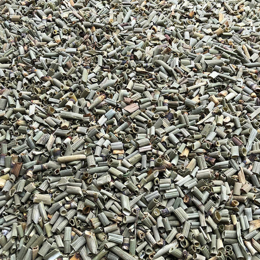 木贼草 商品图1