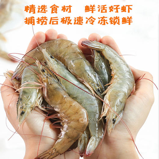 盐田黄金面包虾200g/袋*3 商品图6