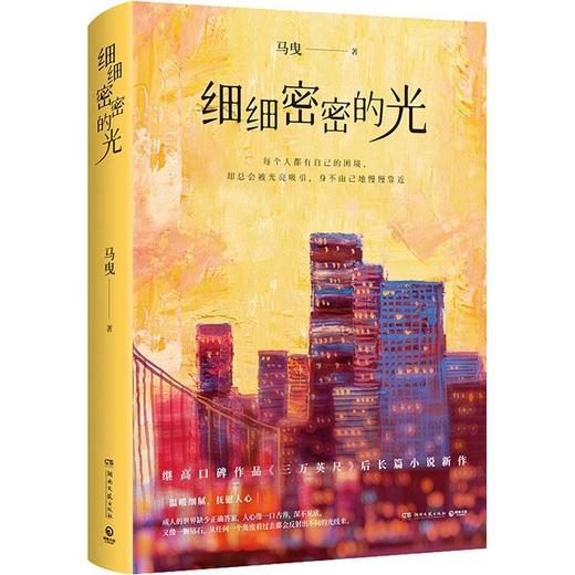 细细密密的光/湖南文艺出版社/马曳/9787572608865 商品图0