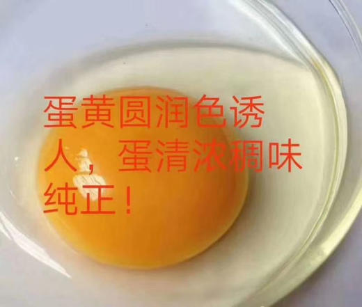 现货达西妮亚土鸡蛋10枚/60枚装 商品图12