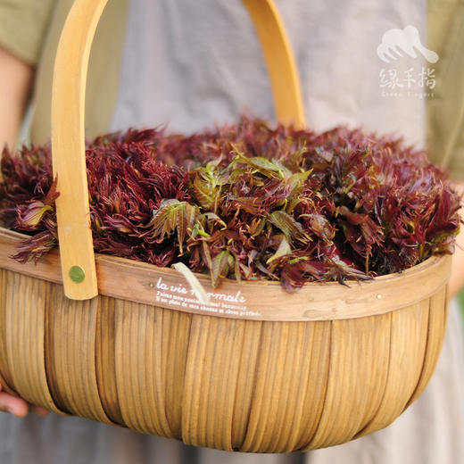 生态山西香椿 | 合作生产* Eco-cedrela sinensis | Coproduction 商品图0