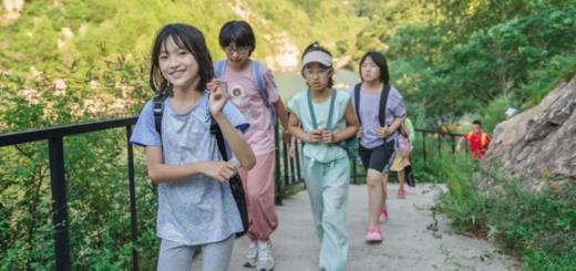 单日攀树—户外技能培训【树冠之旅】 | 变身炫酷蜘蛛侠，找到生命向上的力量！ 商品图1