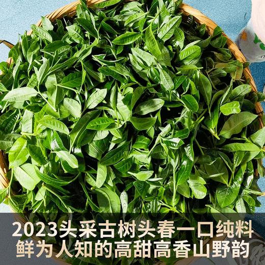 2023春茶 吉顺号古400临沧香竹林普洱茶生茶饼茶茶叶357g 商品图3