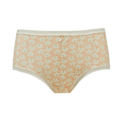 都市丽人基础系列RC棉三角裤女士内裤中腰三角裤LK32B2 商品图9