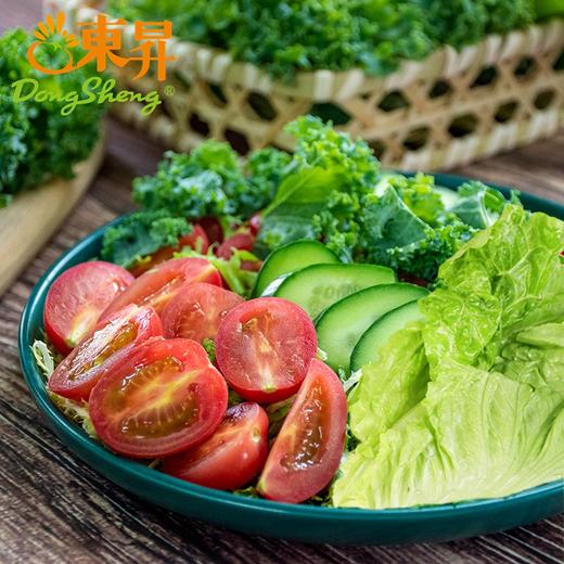 东升农场 新鲜混合蔬菜沙拉即食色拉生菜 低脂轻食健身代餐700g 商品图0