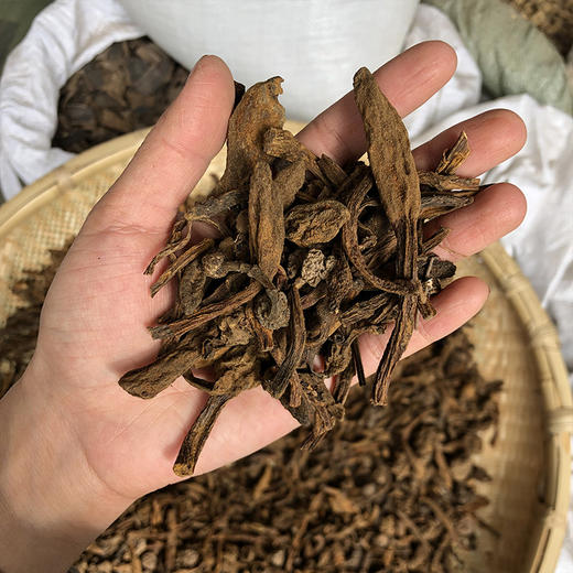 鹿仙草 商品图4