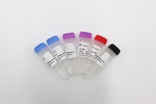 TruePrep DNA Library Prep Kit for MGI 商品图2