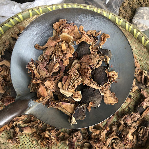 木棉花   攀枝花 商品图4