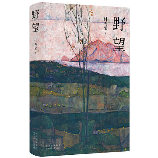 【签名本】《野望》（付秀莹最新长篇小说！曹文轩、刘庆邦诚挚推荐！一户农家的岁时纪事，一个村庄的千丝万缕） 商品图4