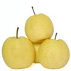【早夜市特惠】砀山梨 约500g份 商品缩略图0