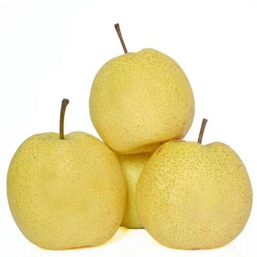 【早夜市特惠】砀山梨 约500g份 商品图0