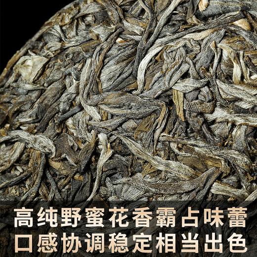 2023春茶 吉顺号古400临沧香竹林普洱茶生茶饼茶茶叶357g 商品图4