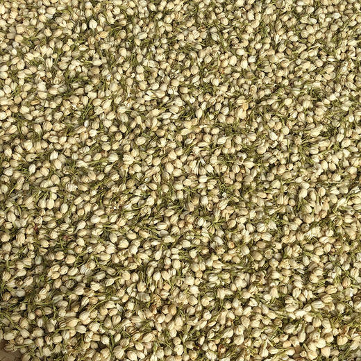 茉莉花 商品图1