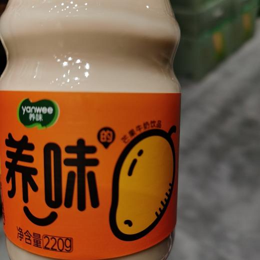 220ml养味芒果味牛奶饮品 商品图1