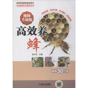 高效养蜂