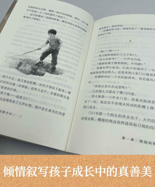 被驱逐的小狮子   梦中的影子戏    四年级共读套装正版现货速发|名师推荐|小学生课外阅读4年级 商品图4