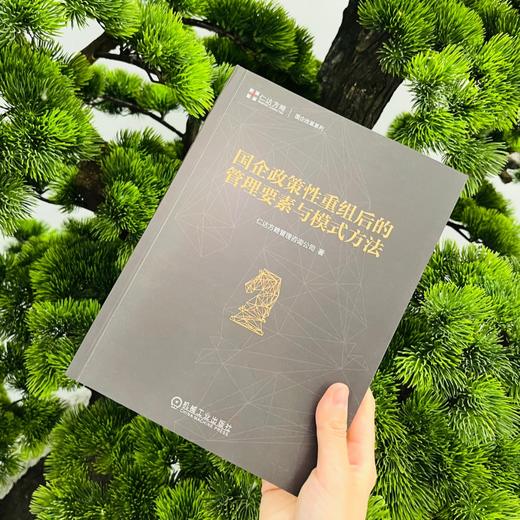 官方 国企政策性重组后的管理要素与模式方法 仁达方略管理咨询公司 企业战略定位经营管理书籍 商品图2