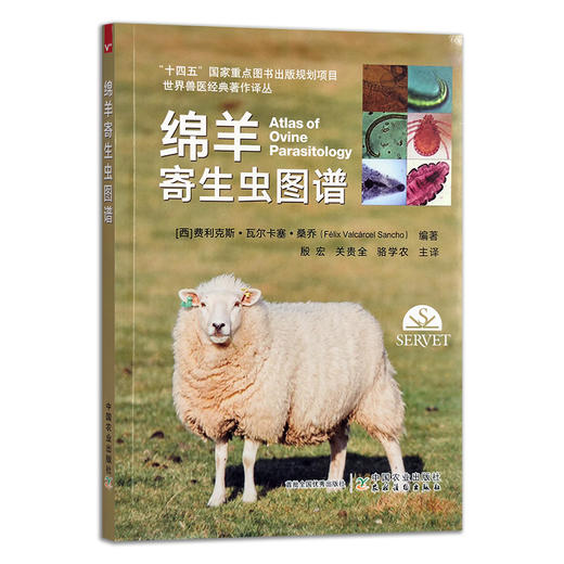 世界兽医经典著作译丛：绵羊寄生虫图谱 寄生虫病 羊病 费利克斯•瓦尔卡塞•桑乔  殷宏 关贵全 骆学农 30057 商品图1