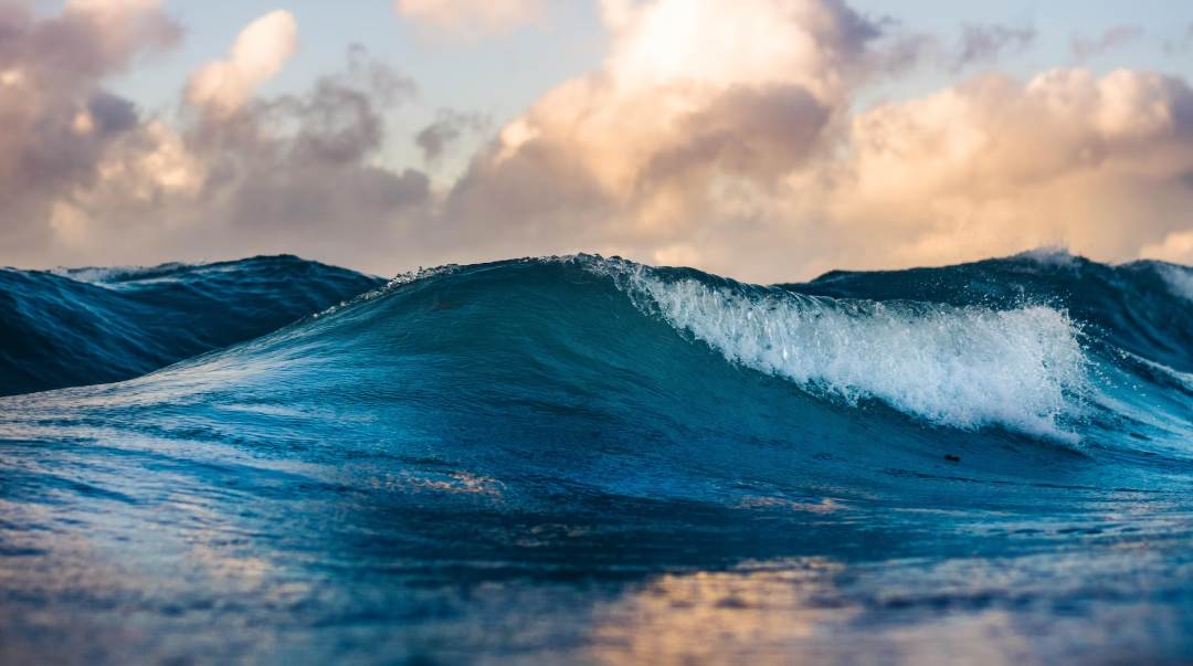 屏幕快照 2023-03-22 上午11.42.51.png