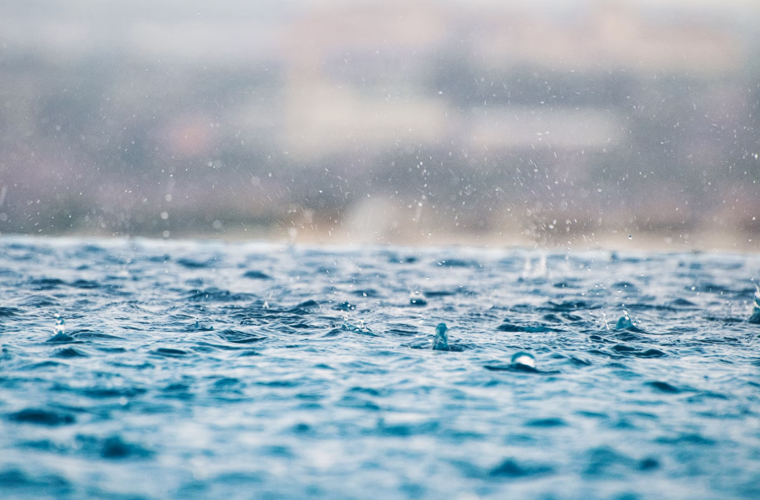 屏幕快照 2023-03-22 上午11.36.34.png