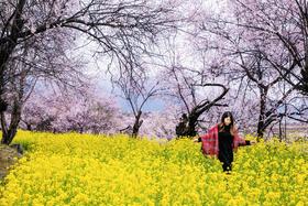 西藏客照 | “来西藏看一次春天，可以记很久” 