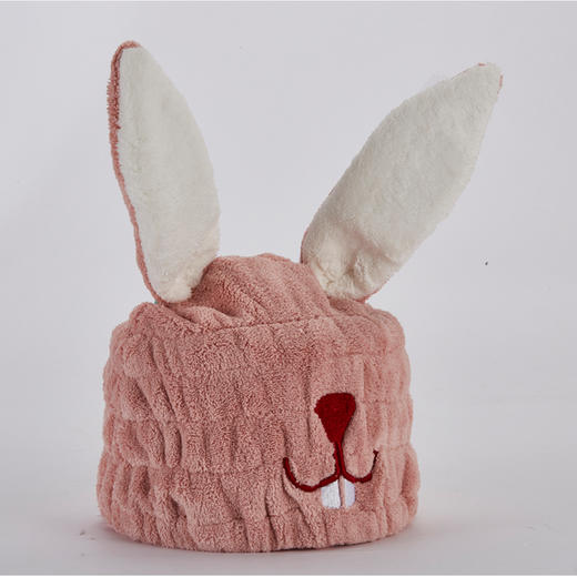 卡通干发帽 商品图1