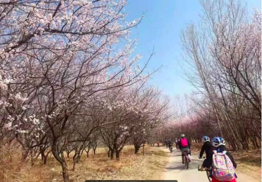 【时尚户外】骑行妫水河畔,穿行森林,感受春日暖阳,亲子单飞·大巴自驾可选|6~15岁亲子/单飞