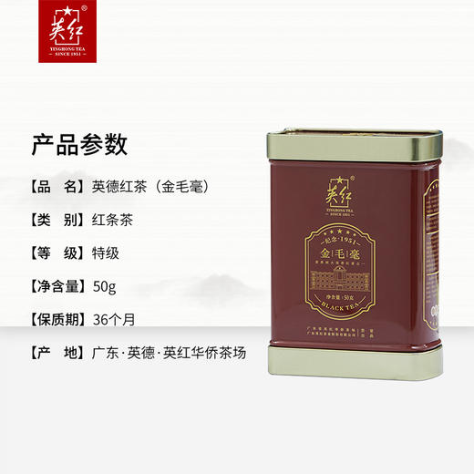 【上万颗芽头制出一斤茶】英红牌 2023明前春茶 特级金毛毫 高香有机红茶 英红九号 50g/罐（京东同款） 商品图4