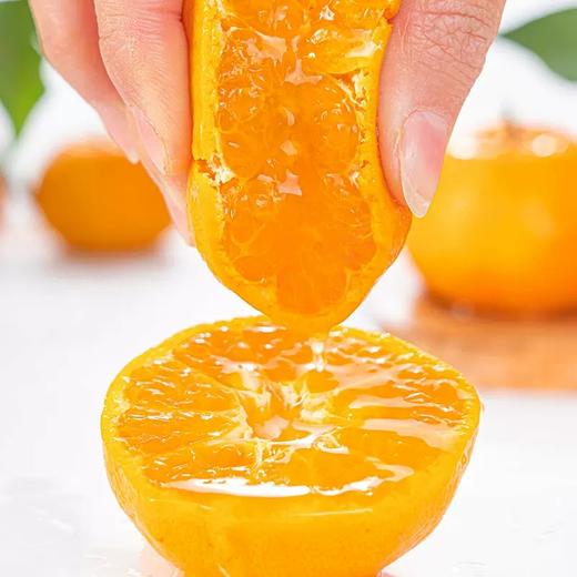 泰国蜜桔（5kg）/份 商品图1