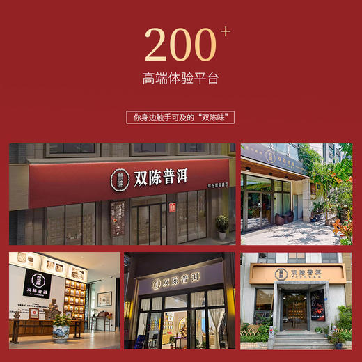 2021年蜜韵布朗357克/饼普洱生茶2013年古树春料七子饼茶干仓老茶 商品图7