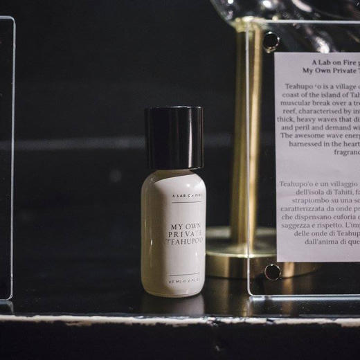 燃烧的实验室 我自己的私人冲浪地 A Lab on Fire My Own Private Teahupo'o 分装 商品图3