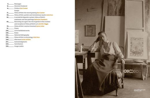 Hilma af Klint: The secret paintings，希尔玛·阿夫·克林特：秘密画作，绘画 商品图8