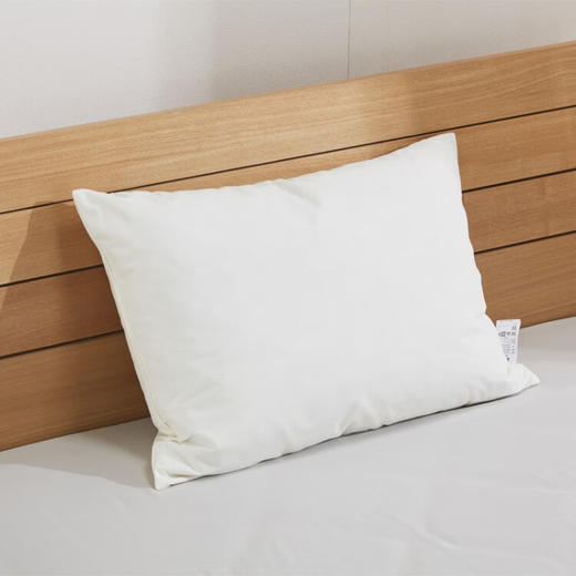 枕头 羽毛枕 约50*70*18cm 商品图0