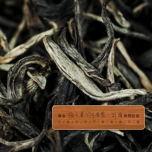 春茶预售【桃子寨单株】茶农联合出品，一树一成品纯料至尊升级包装为500克更具收藏与送礼价值 商品图3