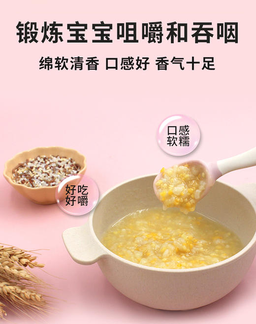 本丁十五天多元杂粮米450g 商品图1