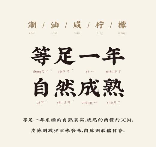 【港式茶餐厅的秘密】古法广东 咸柠檬&咸金桔&咸酸梅  甄选南檬 腌足1年 饱满不涩 商品图3